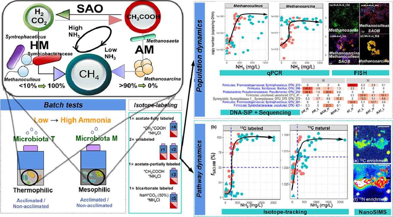 Graphical abstract - Hao et al, 2021