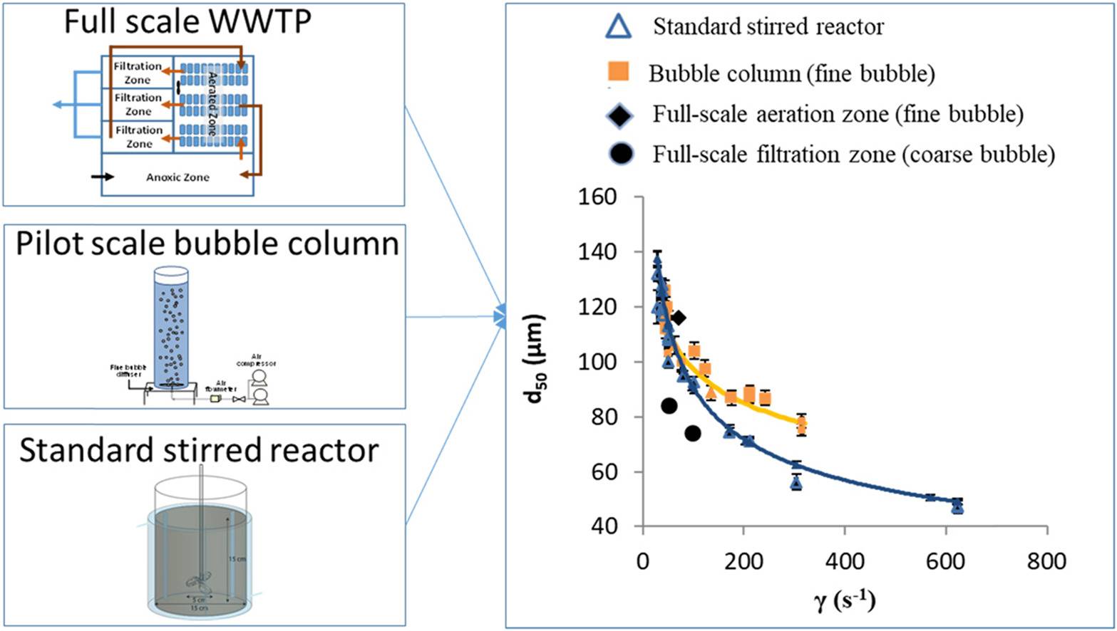 Graphical abstract - Pechaud et al., 2021